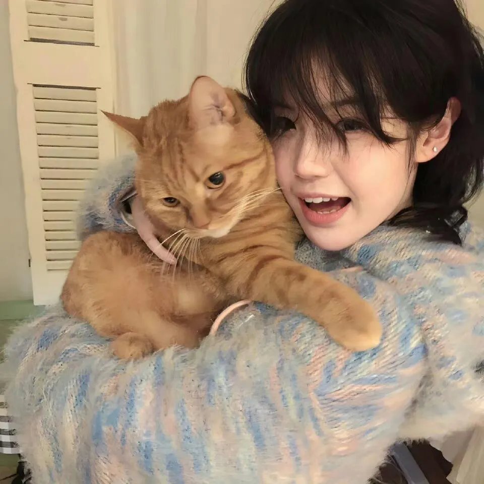 报告王爷，王妃是只猫